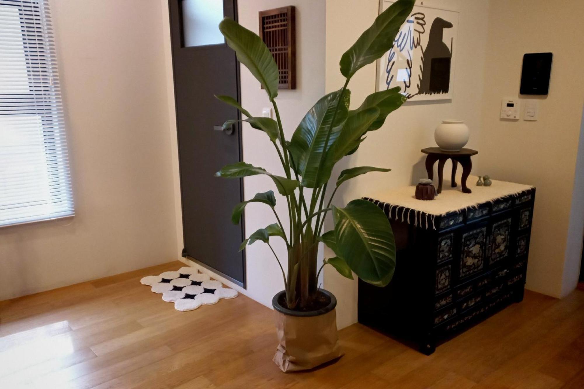 Korean Traditional Terrace House Seoul Exterior photo